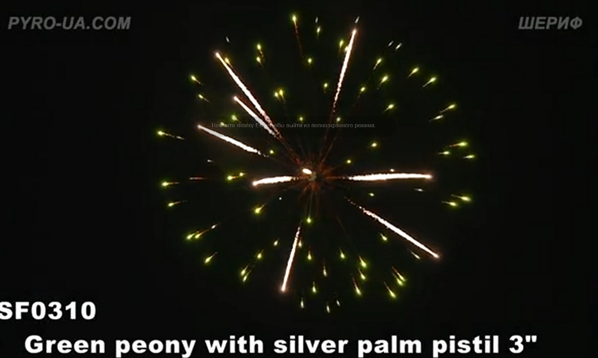 DSF 0310 Green peony with silver palm pistil