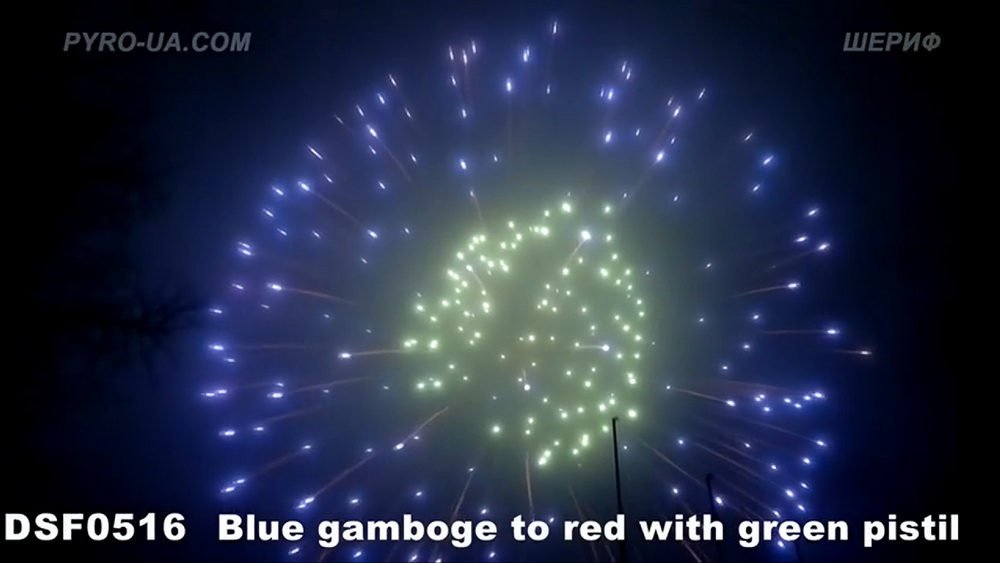 DSF0516 Blue gamboge to red with green pistil