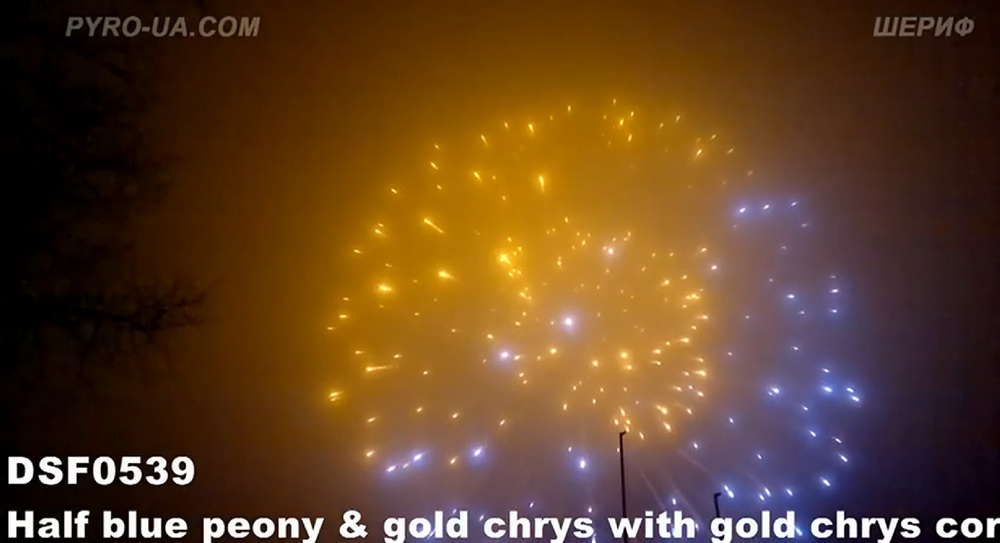 DSF0539 Half blue peony & gold chrys with gold chrys core