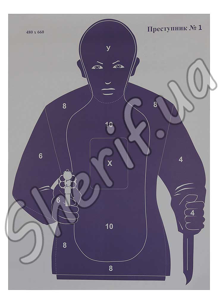 Target 480x660 mm "Criminal No. 1" 00445