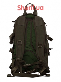Рюкзак Flyye HAWG Hydration Backpack Ranger Green 1
