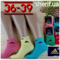 csawmru-konservirovannie-noski-abibas-konservirovannij-podarok-5