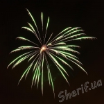 DSF 02516 Green wave