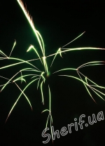 DSF0455 green palm crossette