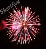 DSF 0621 blue to red to silver peony