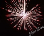DSF 0631 silver_crown_to_red with_blue_pistil