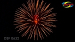 DSF 0632 brocade corwn w red pistil core