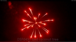 DSF 0343 Red coconut tree
