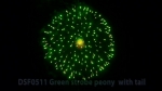 DSF0511 Green strobe peony with tail
