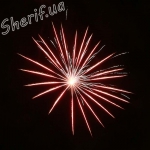 DSF 0542 red_wave_ring_to silver_strobe_pistil