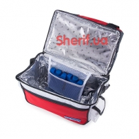 Термосумка Thermo Style IBS-10 (4820152611680)-3