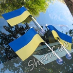 Flag of Ukraine on a suction cup 10*15