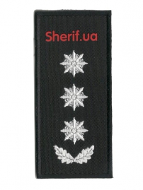 Погон Полковник поліції (1шт)