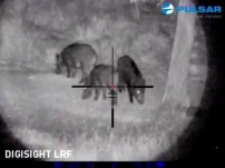 Цифровой прицел Pulsar Digisight LRF N870 (без крепления)-10