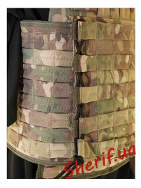 Разгрузочная система Plate Carrier Multicam-5