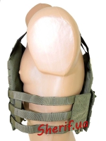 Бронежилет Flyye Swift Plate Carrier RG (M)