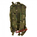 Рюкзак 3D Pack Woodland