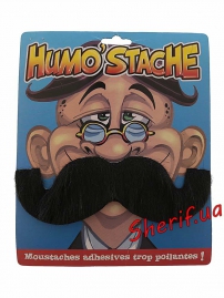 Mustache carnival