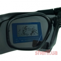 Очки ESS Crossbow Black Polarized-13