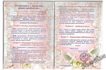 Семейная конституция 2