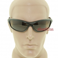 Купить NBSUN107-2 POLARIZED, фирменый жесткий чехол на молнии, тряпочка