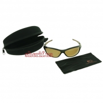 NBSUN107-2 POLARIZED, branded hard case with zipper, cloth