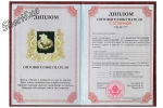 Диплом Оптового покупателя-2