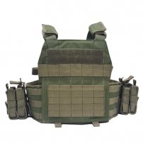Plate carrier Oliva 4 pouches for AK (M-TM) (set)