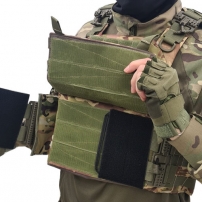 Plate carrier with pouches (3AK) Multicam AD