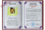 Диплом Лучшего свекра-2